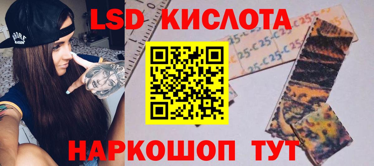 ЛСД экстази ecstasy  Вход с VPN  Каменка  Лсд 25 экстази ecstasy 