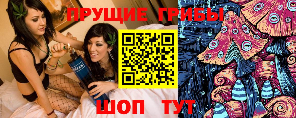 закладка  Вход с VPN  Каменка  Галлюциногенные грибы Magic Shrooms 